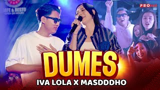Chord Kunci Gitar dan Lirik Lagu Dumes - Iva Lola X Masdddho, Kunci Gitar Mulai dari F