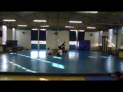 FEF/UFG - Bacharelado 2013/1 - Ginástica - Grupo 2 (AfroCircus - Madagascar)