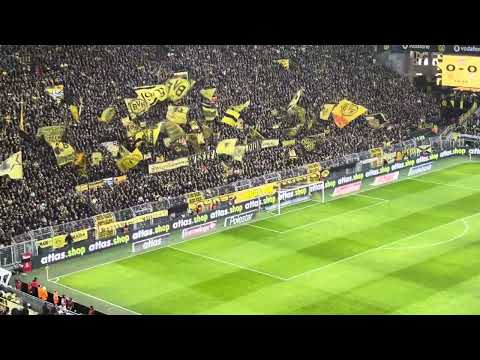 Nach 12 Minuten Protest  Explodiert das Stadion Ultras BVB vs VFB. #bundesliga