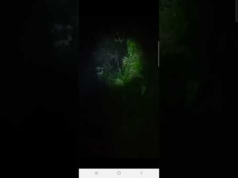 bantu2 like,share and suscribe ya