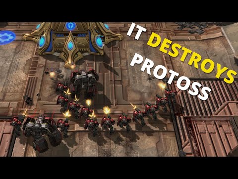 I Invented A SICK NEW TvP Build - Cheese to Rank 1