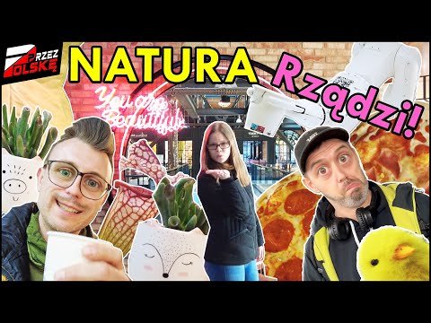 WARSZAWA || 🪴 GreenVille w Elektrowni Powiśle⚡️Kwiaty i Pizza 🍕 z automatu 🤖 #PrzezPolskę