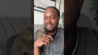 Pygmy Marmoset, the tiniest monkey in the world. #monkey #nature #youtubeshorts