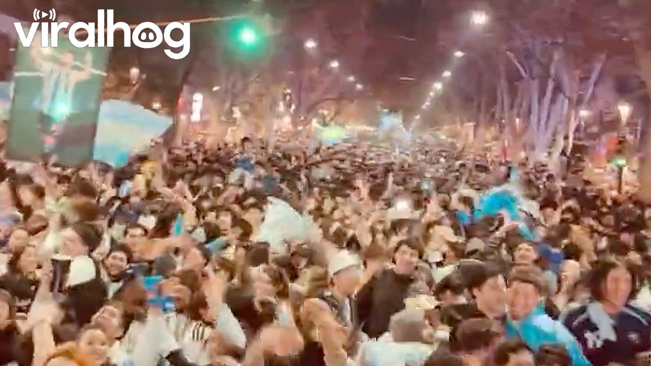 Argentina Celebrates Making It to the Final Match in the FIFA World CUP || ViralHog