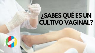 ¿Sabes qué es un cultivo vaginal