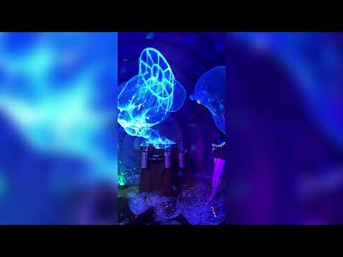 Promotional video thumbnail 4 for Bubble Show Miami