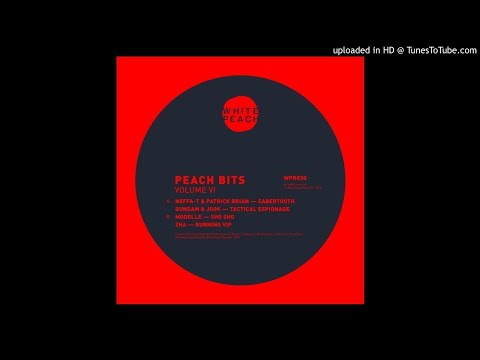 Gundam & Jook -  Tactical Espionage