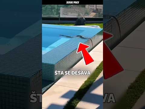 Stavio je vodu iz bazena pod mikroskop i ovo se dogodilo!!🤯#shorts #shortvideo #short #shortsfeed