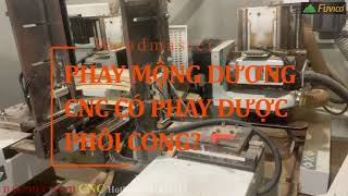 MÁY LÀM MỘNG DƯƠNG CNC WOODMASTER WM-D200CNC. Làm mộng 2 đầu cho phôi dài tối đa 2m