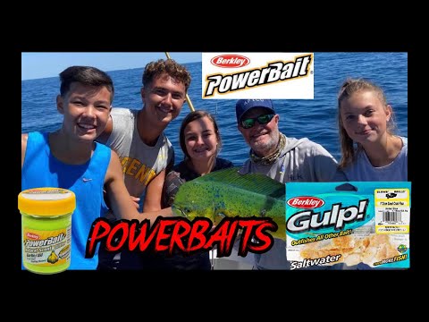 #𝑺𝑯𝑶𝑹𝑻𝑺 𝑪𝑨𝑻𝑪𝑯 𝑴𝑶𝑹𝑬 𝑭𝑰𝑺𝑯 𝑾𝑰𝑻𝑯 𝑩𝑬𝑹𝑲𝑳𝑬𝒀 𝑷𝑶𝑾𝑬𝑹𝑩𝑨𝑰𝑻𝑺 !! 𝑩𝑬𝑹𝑲𝑳𝑬𝒀 𝑷𝑶𝑾𝑬𝑹𝑩𝑨𝑰𝑻𝑺. 𝑩𝑬𝑹𝑲𝑳𝑬𝒀 𝑺𝑶𝑭𝑻 𝑩𝑨𝑰𝑻𝑺. #SHORTS