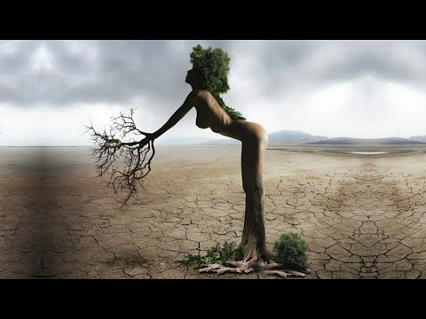 Armen Miran - Be Svendsen -  DAVI - Bedouin - Nu - Duologue 《 SEQUOIA 》 Organic House, Melodic House
