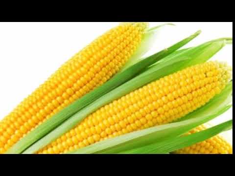 Learn the Arabic alphabet