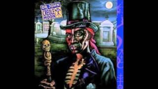 Dr. John  ~ Food For Thot