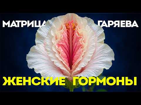Главная Матрица Гаряева для Женской Гормональной Системы ☀️ Квантовое Исцеление Звуком