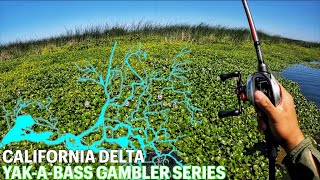 Yak-a-Bass Gambler Series #5 - The California Delta