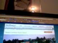 Disney S Caribbean Beach Resort