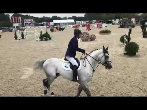 El Torreo de Muze 3rd GP CSI3* Lier