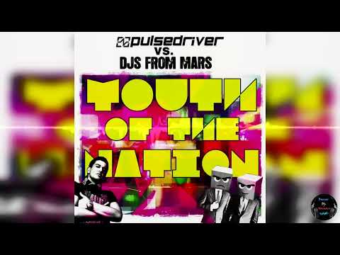 Pulsedriver vs DJs From Mars - Youth Of The Nation (DJ Gollum Extended Remix)