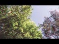 AMASON - WENT TO WAR 