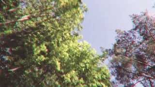 AMASON - WENT TO WAR