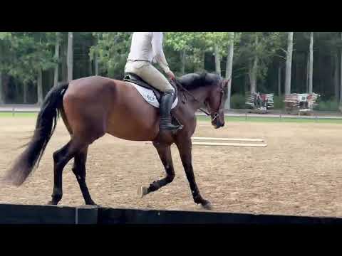 Tres Jolie video 2