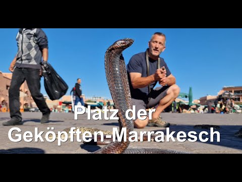 Platz der Geköpften - Marrakesch / Marokko / #10
