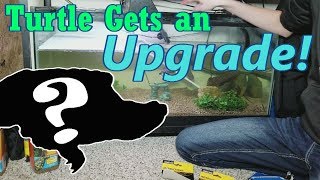 Setting up New and Improved Turtle Tanks! by Snake Discovery