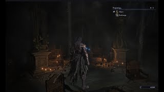Night Reign warrior