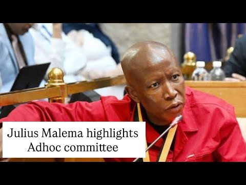 Highlights of Julius Malema - Adhoc committee