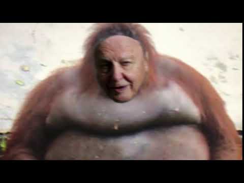David Attenborough Tells you to Reject Humanity and Return to Monke (ASMR)