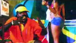 Beenie Man - Back it Up