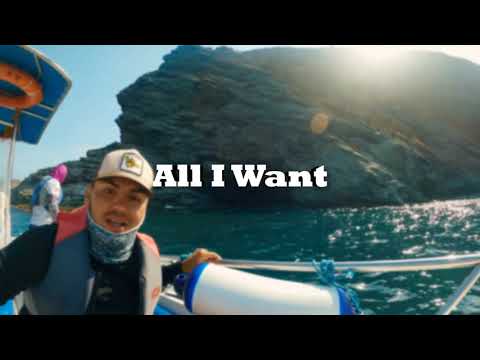 Tomsar95 - All I Want [The Abm Remix] (Lyric Video by The ABM)