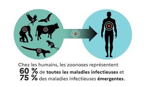 BiOMAX PLUS