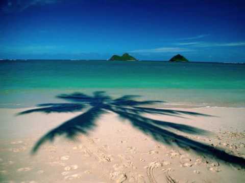 Dj Rehab - Diablo on Sharkskin.wmv