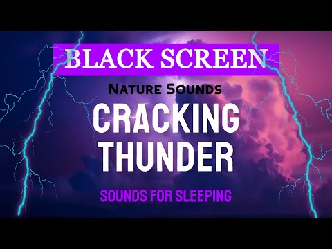 Cracking Thunder & Rain Sounds for Sleeping | Black Screen Nature Sounds