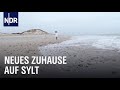 Reupload: Wahlheimat Sylt | die nordstory | NDR Doku