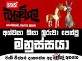 balumgala-13-10-2017