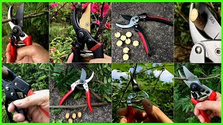Top 5 Best Garden shears in 2022 reviews✅ Buying guide