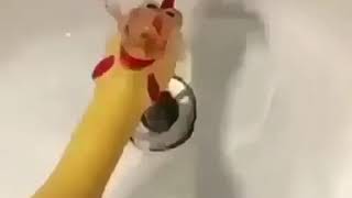Drowning rubber chicken