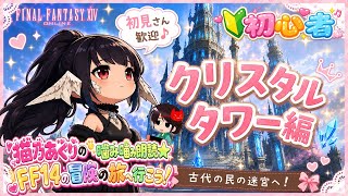 【FF14】🔰クリスタルタワー攻略編【11】