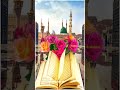 Eid Miladun Nabi Wadi Wadi Basti Basti Diwano Ka Nara Whatsapp Status Islamicstatus Trending