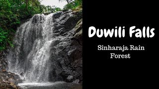 preview picture of video 'Duwili Falls - දූවිලි ඇල්ල'