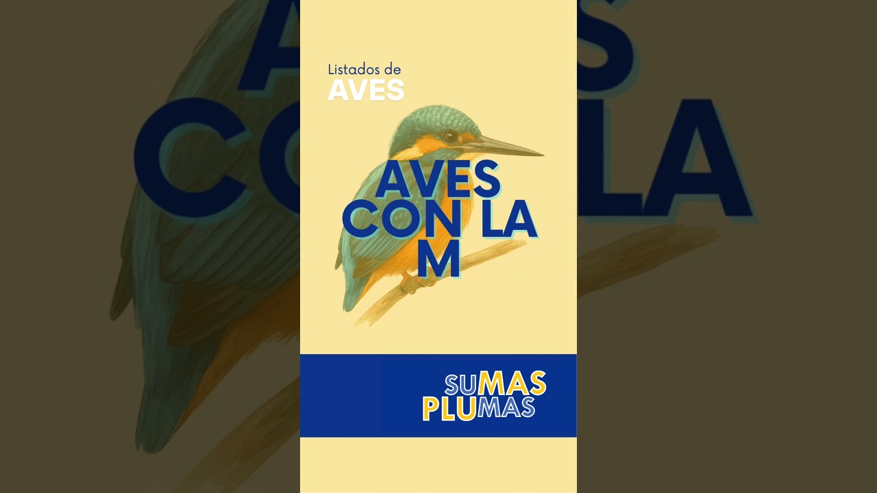 Aves con la M