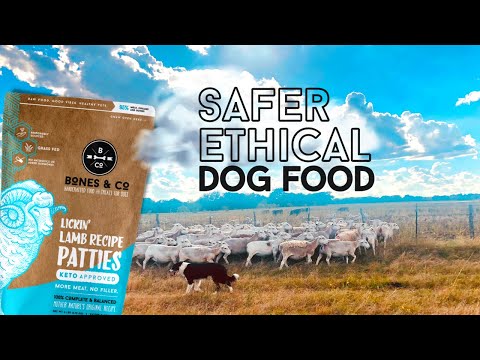 Is Your Dog's Food SAFE😳??  Bones & Co's FULL safety process!!
