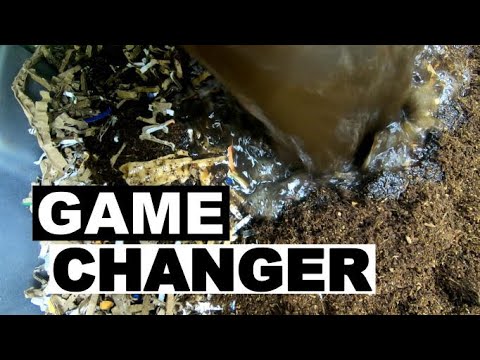 Compost Worm Bedding is EXACTLY what you need