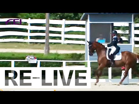 RE-LIVE | Young Riders Team Part I - FEI Dressage European Championship YR