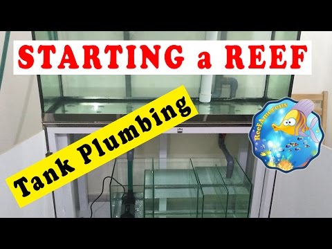 HOW TO: SET UP a Reef Aquarium | Tank Plumbing & overflow (120g Reef Tank Setup E7)  احواض بحرية