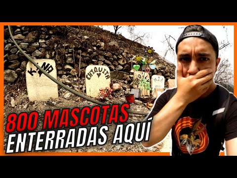 ASÍ SE VE UN CEMENTERIO DE MASCOTAS | ANDY VLOGS