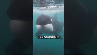 저게 지상에서 서식하는 양아치?