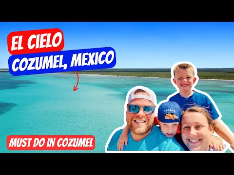 El Cielo Cozumel Vlog | Sea Turtles, Stingrays & Crystal Clear Water